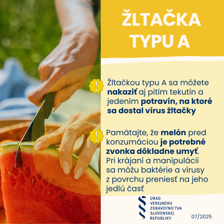 zltacka ii 2025 melon