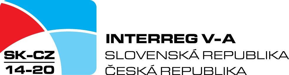 logo IRRVA 2014 20 program